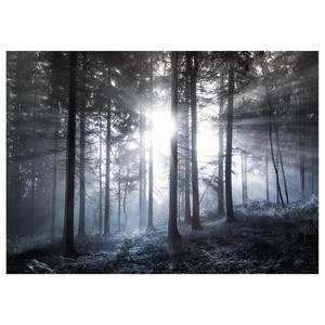 Impression sur toile Sun Rays Polyester PVC / Épicéa - Bleu  / Blanc
