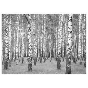 Wandbild Birch Forest Polyester PVC / Fichtenholz - Weiß / Schwarz