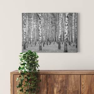 Wandbild Birch Forest Polyester PVC / Fichtenholz - Weiß / Schwarz