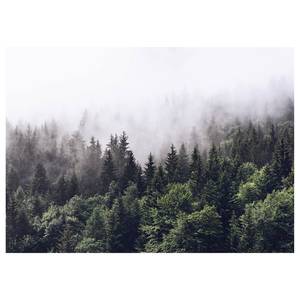 Canvas foresta nella nebbia Foggy Forest Poliestere PVC / Legno di abete rosso - Bianco / Verde