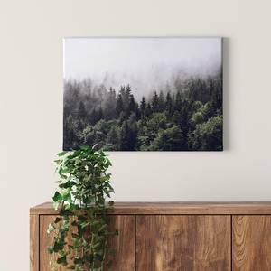 Impression sur toile Foggy Forest Polyester PVC / Épicéa - Vert / Blanc