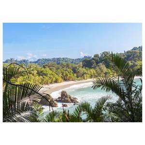 Canvas con spiaggia e mare Costa Rica Poliestere PVC / Legno di abete rosso - Blu  / Verde