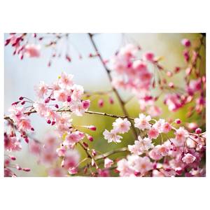 Leinwandbild Cherry Blossoms Polyester PVC / Fichtenholz - Pink