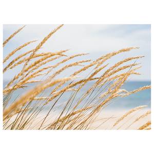 Leinwandbild Strand Dune Grass Polyester PVC / Fichtenholz - Blau  / Beige