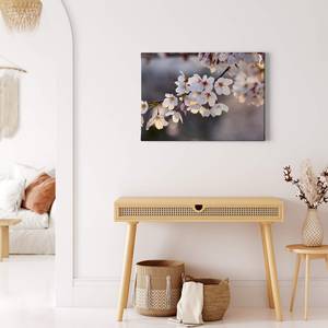 Impression sur toile Cherry Branch Polyester PVC / Épicéa - Blanc / Rose