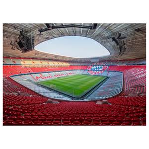 Wandbild Fußballstadion Bayern München Polyester PVC / Fichtenholz - Grün / Rot