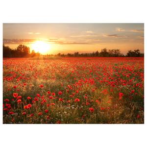 Impression sur toile Poppy Field Polyester PVC / Épicéa - Rouge / Orange