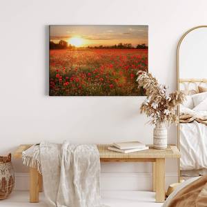 Impression sur toile Poppy Field Polyester PVC / Épicéa - Rouge / Orange