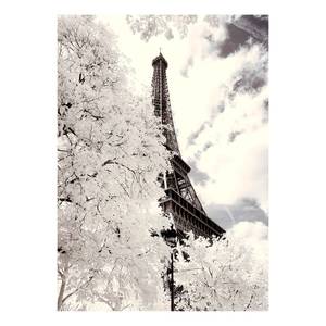 Impression sur toile White Paris Polyester PVC / Épicéa - Blanc / Gris