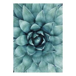 Afbeelding Agave Floral polyester PVC/sparrenhout - groen