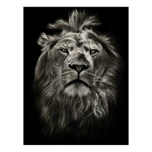 Impression sur toile Lion Polyester PVC / Épicéa - Noir / Gris