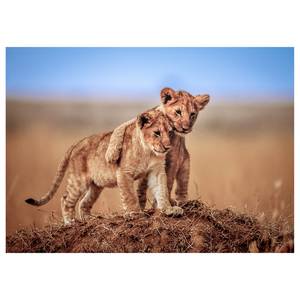 Canvas con cuccioli di leone Brothers Poliestere PVC / Legno di abete rosso - Blu  / Verde