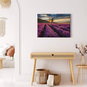 Impression sur toile Lavender Fields Polyester PVC / Épicéa - Violet