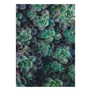 Canvas Succulents Poliestere PVC / Legno di abete rosso - Verde