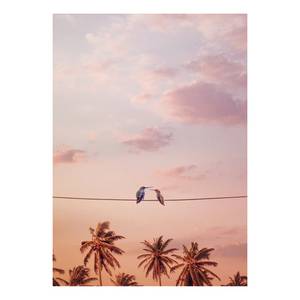 Leinwandbild Vögel Hummingbirds Polyester PVC / Fichtenholz - Pink