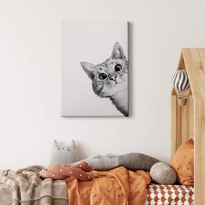 Afbeelding Sneaky Cat polyester PVC/sparrenhout - wit/zwart