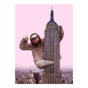 Wandbild King Sloth Polyester PVC / Fichtenholz - Pink / Braun