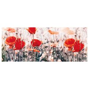 Impression sur toile Wild Poppies Polyester PVC / Épicéa - Rouge / Gris