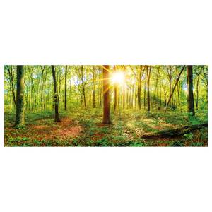 Leinwandbild Deep Forest Polyester PVC / Fichtenholz - Grün / Braun
