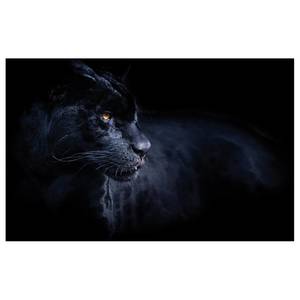 Leinwandbild Tiere Black Panther Polyester PVC / Fichtenholz - Schwarz