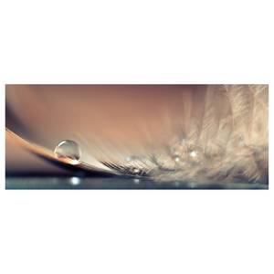 Leinwandbild Natur Waterdrop Polyester PVC / Fichtenholz - Braun / Grau