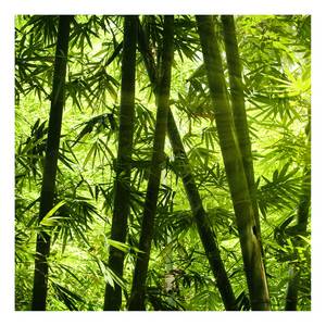 Leinwandbild Bamboo Forest Polyester PVC / Fichtenholz - Grün / Schwarz