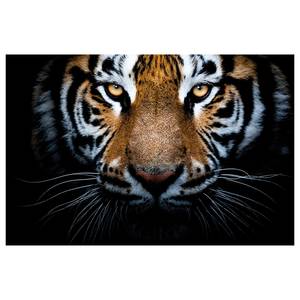 Afbeelding Eyes Of A Tiger polyester PVC/sparrenhout - bruin/wit