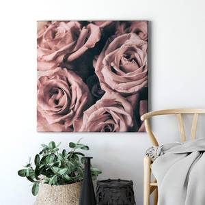 Leinwandbild Rosen Roses Vintage Polyester PVC / Fichtenholz - Pink