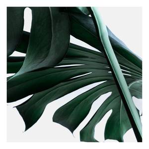 Afbeelding Urban Jungle polyester PVC/sparrenhout - groen/wit