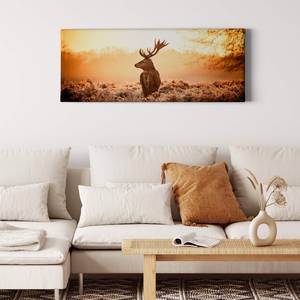 Canvas Majestic Deer Poliestere PVC / Legno di abete rosso - Arancione / Marrone
