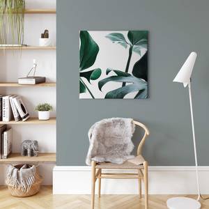 Afbeelding Monstera Delici polyester PVC/sparrenhout - groen/wit