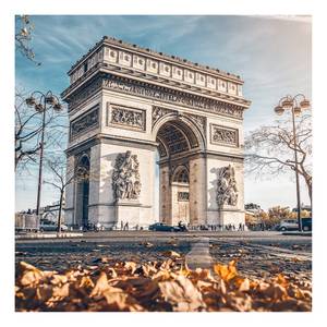 Leinwandbild Paris Arc De Triomphe Polyester PVC / Fichtenholz - Beige / Blau