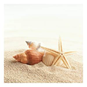 Leinwandbild Starfish Muscheln Seestern Polyester PVC / Fichtenholz - Beige