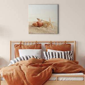 Impression sur toile Starfish Polyester PVC / Épicéa - Beige