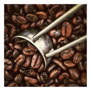 Quadro Coffee Roasting Poliestere PVC / Legno di abete rosso - Marrone / Grigio