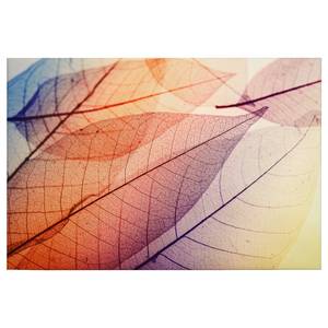 Leinwandbild Blätter Limpid Leaf Polyester PVC / Fichtenholz - Orange
