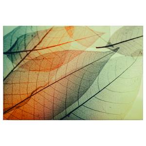 Afbeelding Bladeren Limpid Leaf polyester PVC/sparrenhout - Groen