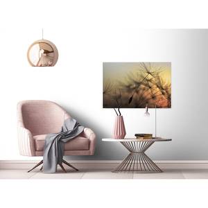 Impression sur toile Flying Dandelion Polyester PVC / Épicéa - Orange / Jaune