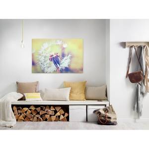 Afbeelding Dandelion polyester PVC/sparrenhout - geel/wit