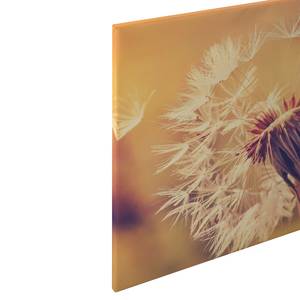 Afbeelding Paardenbloem Dandelion polyester PVC/sparrenhout - oranje/geel