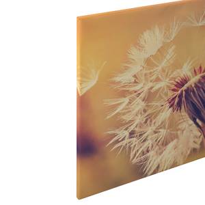 Impression sur toile Dandelion Polyester PVC / Épicéa - Orange / Jaune