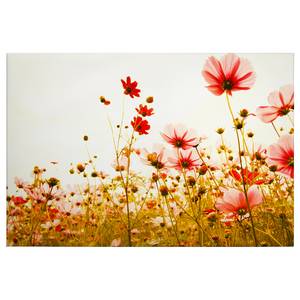 Impression sur toile Flower Meadow Polyester PVC / Épicéa - Rouge / Vert