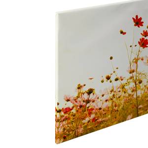 Leinwandbild Flower Meadow Polyester PVC / Fichtenholz - Rot / Grün