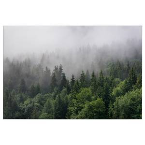 Wandbild Wald im Nebel Polyester PVC / Fichtenholz - Grün / Weiß