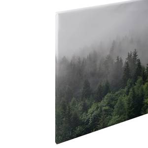 Wandbild Wald im Nebel Polyester PVC / Fichtenholz - Grün / Weiß