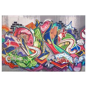 Leinwandbild Graffiti Jugend Polyester PVC / Fichtenholz - Mehrfarbig / Grau