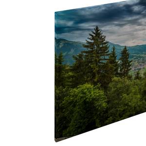 Impression sur toile Mountain Views Polyester PVC / Épicéa - Vert / Gris