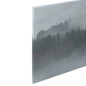 Impression sur toile Misty Forest Polyester PVC / Épicéa - Gris / Blanc