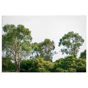 Leinwandbild Treetop Polyester PVC / Fichtenholz - Grün / Weiß