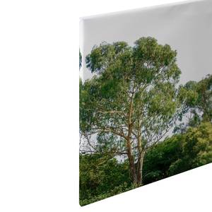 Impression sur toile Treetop Polyester PVC / Épicéa - Vert / Blanc